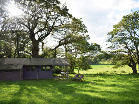 Vakantiepark in Bretagne, Frankrijk, met luxe tent, ligzetels, groene grasmat en uitgestrekt landschap.