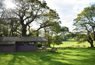Urlaubspark in der Bretagne, Frankreich, mit Zeltunterkunft, grüner Wiese und schattigen Bäumen.