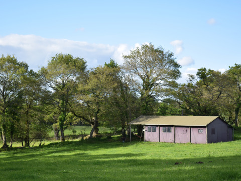 Safari-telt på Feather Down La Ferme de Penquelen Huella i Bretagne, Frankrig, omgivet af grønne træer og en mark.