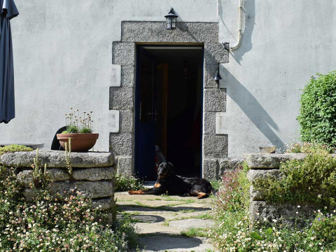 Cane sdraiato all’ingresso di una casa in pietra rustica tra fiori a Feather Down La Ferme de Penquelen Huella, Bretagna.
