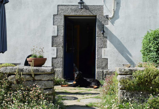 Hund ligger ved indgang til rustik stenhus omgivet af blomster på Feather Down La Ferme de Penquelen Huella, Bretagne.