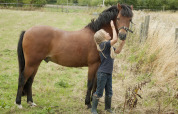 Et barn med langt lyst hår kæler en brun pony på en græsmark ved Feather Down New Barn Farm i England.