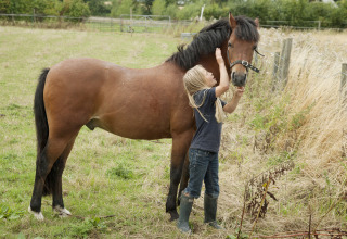 Et barn med langt lyst hår kæler en brun pony på en græsmark ved Feather Down New Barn Farm i England.