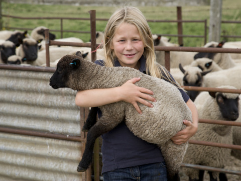 Un enfant avec un agneau noir dans les bras à Feather Down New Barn Farm, dans l’est de l’Angleterre, entouré de moutons.