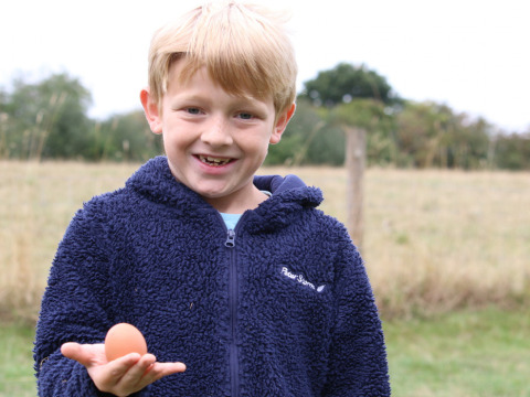 Junge in blauer Fleecejacke hält ein braunes Ei in der Hand auf Feather Down New Barn Farm, Ostengland, UK.