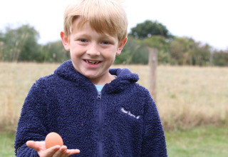 Junge in blauer Fleecejacke hält ein braunes Ei in der Hand auf Feather Down New Barn Farm, Ostengland, UK.