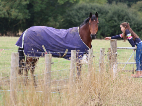 Una ragazza si avvicina a un cavallo con coperta in un campo di Feather Down New Barn Farm in Inghilterra.