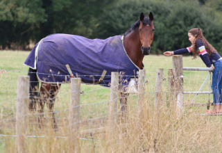 A girl reaches out to a blanketed horse in a field at Feather Down New Barn Farm in East of England, UK.
