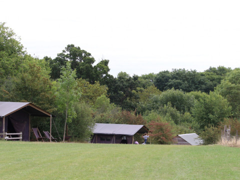 Tentes et cabanes à Feather Down New Barn Farm, parc de vacances entouré de verdure en Angleterre.