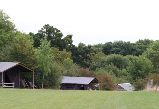 Telt og hytter på Feather Down New Barn Farm, en feriepark omgivet af grønne træer i England.