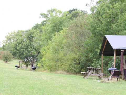 Picnic benches, barbecue grills, and a shelter in a grassy, wooded area at Feather Down New Barn Farm.