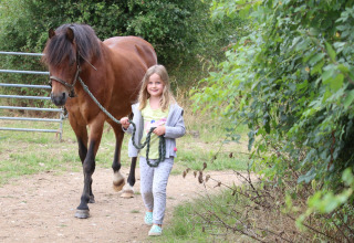 Een meisje wandelt met een bruin paard aan een halstertouw op Feather Down New Barn Farm, Engeland.