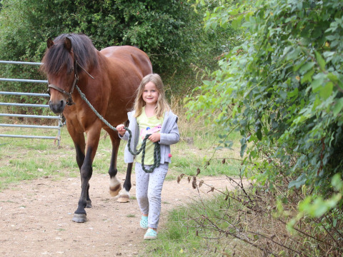 Ein junges Mädchen führt ein braunes Pferd an der Leine auf einem Feldweg bei Feather Down New Barn Farm.