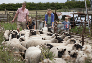Une famille s'occupe de moutons à Feather Down New Barn Farm, un parc de vacances dans l'Est de l'Angleterre, Royaume-Uni.