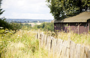 Udsigt over landskabet og et telt på Feather Down Manor Farm feriepark i det sydøstlige England, Storbritannien.