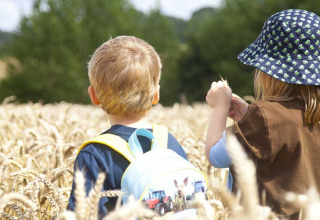 Twee kinderen ontdekken een graanveld bij Feather Down Manor Farm, vakantiepark in Zuidoost-Engeland, VK.