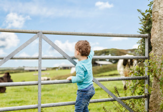 Et lille barn klatrer op ad en metalport og kigger ud over en grøn mark på Feather Down Treganhoe Farm.