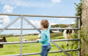 Un bambino piccolo si arrampica su un cancello di metallo guardando un prato verde a Feather Down Treganhoe Farm.