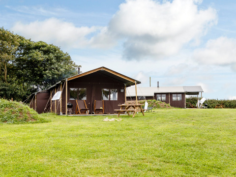 Parque vacacional en Feather Down Treganhoe Farm, Suroeste de Inglaterra, con tiendas y bancos de picnic en césped.