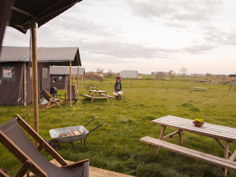 Tiendas glamping y mesas de picnic en Feather Down Hoeve den Overdraght, parque vacacional en Flandes Occidental, Bélgica.