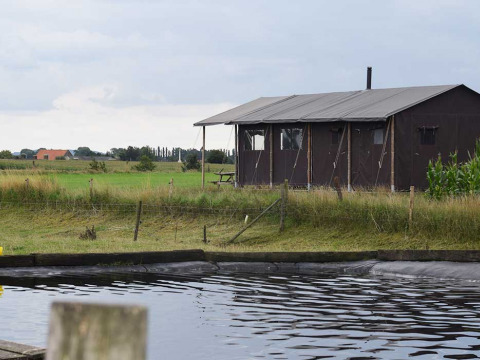 Vue d'une tente de vacances et des prairies au Feather Down Hoeve den Overdraght, Flandre occidentale, Belgique.