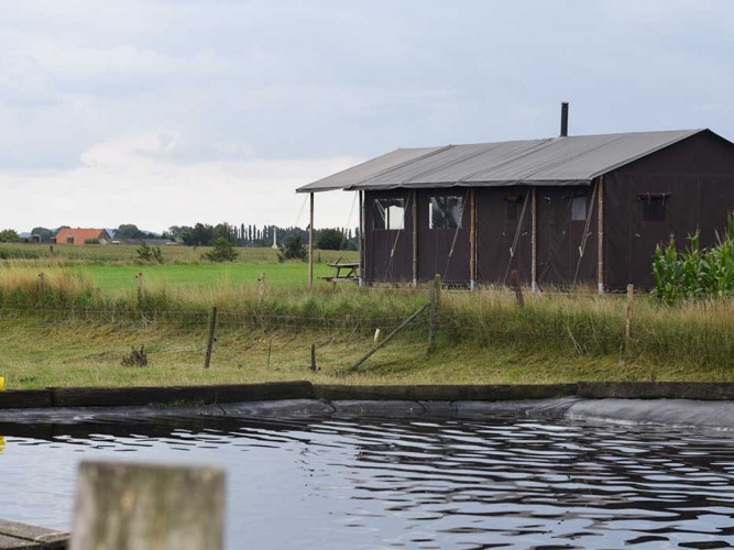 Vue d'une tente de vacances et des prairies au Feather Down Hoeve den Overdraght, Flandre occidentale, Belgique.