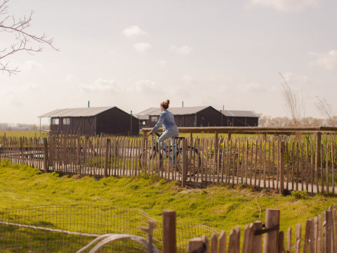 Mujer andando en bicicleta junto a una cerca en Feather Down Hoeve den Overdraght en Flandes Occidental, Bélgica.