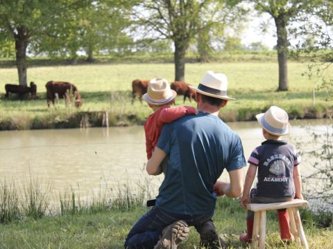 Un padre y dos niños con sombreros de paja se sientan junto a un estanque mirando vacas en Francia.