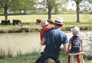 Ein Vater und zwei Kinder mit Strohhüten sitzen am See und beobachten Kühe auf einer Wiese in Frankreich.