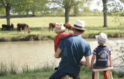 Un padre e due bambini con cappelli di paglia seduti accanto a uno stagno osservano le mucche in Francia.