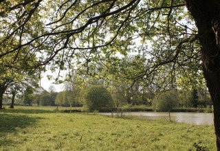 Udsigt over en fredelig eng og sø ved Feather Down L'Étable des Mauges en Anjou-feriepark i Frankrig.