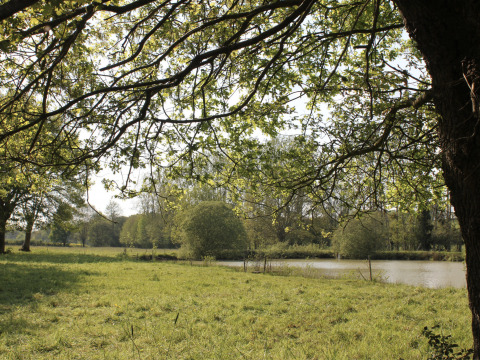 Zicht op een vredig grasveld en vijver bij Feather Down L'Étable des Mauges en Anjou vakantiepark in Frankrijk.