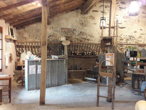 Binnenfoto van een rustieke winkel met houten meubels, stenen muren, productrekken en warm licht.