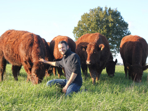Hombre arrodillado acariciando vacas marrones en Feather Down L'Étable des Mauges en Anjou, Francia.