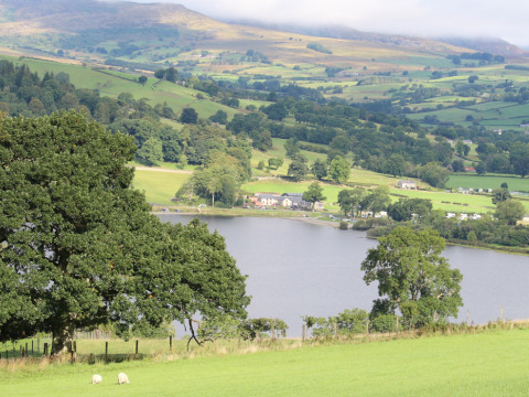 Udsigt over grønne bakker, sø og gårdhuse ved Feather Down Pant y March Farm feriepark i Wales, Storbritannien.