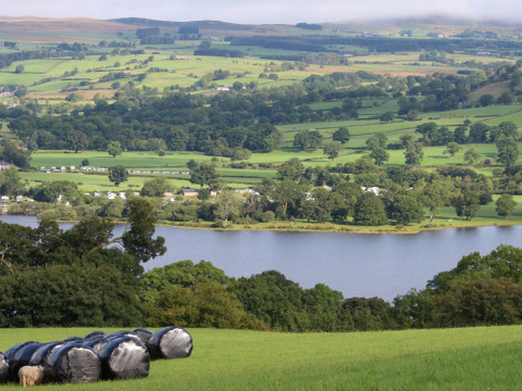 Vista panorámica del campo galés en Feather Down Pant y March Farm con campos, árboles y un lago tranquilo.