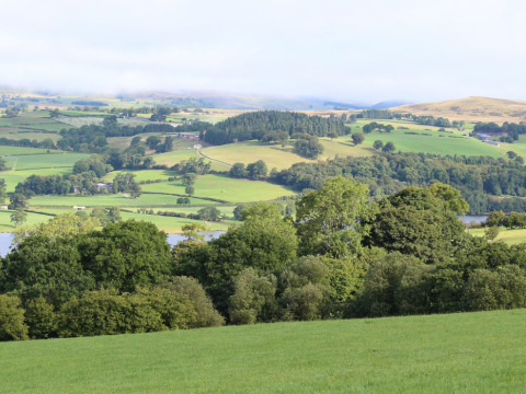 Bakket landskab ved Feather Down Pant y March Farm feriepark i Wales, Storbritannien, med grønne marker.