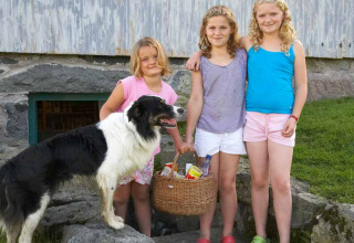 Tre ragazze e un cane con un cestino davanti a un fienile a Feather Down Pant y March Farm in Galles, Regno Unito.