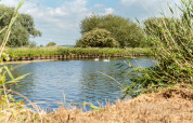 Udsigt over en stille kanal med svaner, grønne træer og blå himmel ved Feather Down Moor Farm, Sydvestengland.