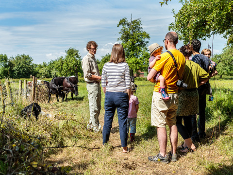 Een groep mensen met kinderen bezoekt Feather Down Moor Farm, spreekt met een boer en bekijkt koeien.