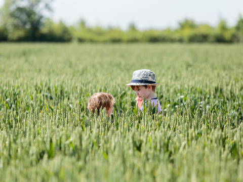 Deux enfants jouent dans un champ vert à Feather Down Moor Farm, un parc de vacances dans le sud-ouest de l’Angleterre.