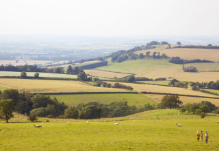 Children walk on a green pasture with sheep at Feather Down Hidcote Manor Farm in West Midlands, UK.