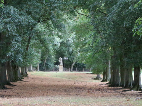 Met bomen omzoomd wandelpad met standbeeld bij Feather Down Hidcote Manor Farm in West Midlands, VK.