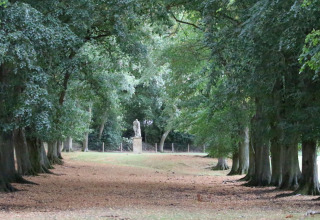 Viale alberato con una statua in fondo alla Feather Down Hidcote Manor Farm, West Midlands, Regno Unito.