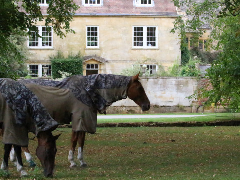 Twee paarden met dekens grazen op het gras bij een landhuis bij Feather Down Hidcote Manor Farm, VK.