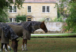 To heste i dækken græsser på en mark foran en stor gul herregård ved Feather Down Hidcote Manor Farm.