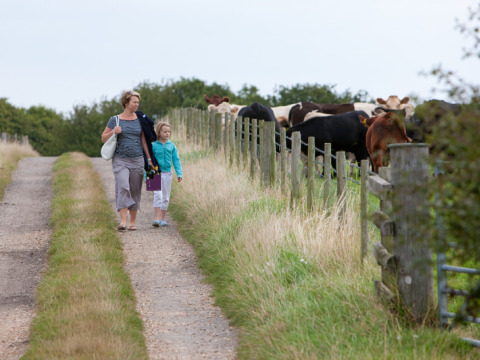 Madre e hija caminan por un sendero rural junto a vacas tras una cerca en Feather Down Lunsford Farm.