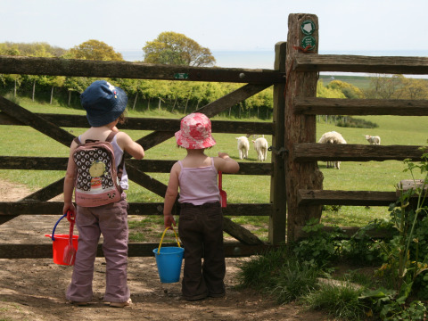 Twee kinderen met emmers kijken naar schapen door een hek op Feather Down Lunsford Farm, Zuidoost-Engeland, VK.