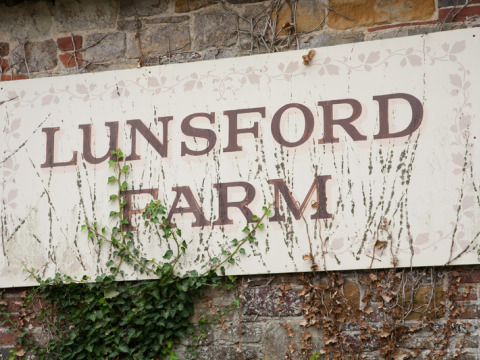 Letrero de Lunsford Farm con hiedra, fotografiado en Feather Down Lunsford Farm, Sureste de Inglaterra, Reino Unido.