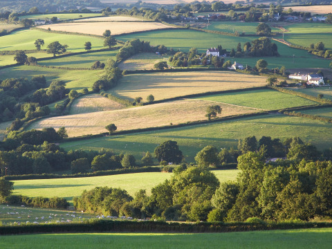 Paisaje pintoresco con campos verdes y granjas en Feather Down Billingsmoor Farm, Suroeste de Inglaterra.